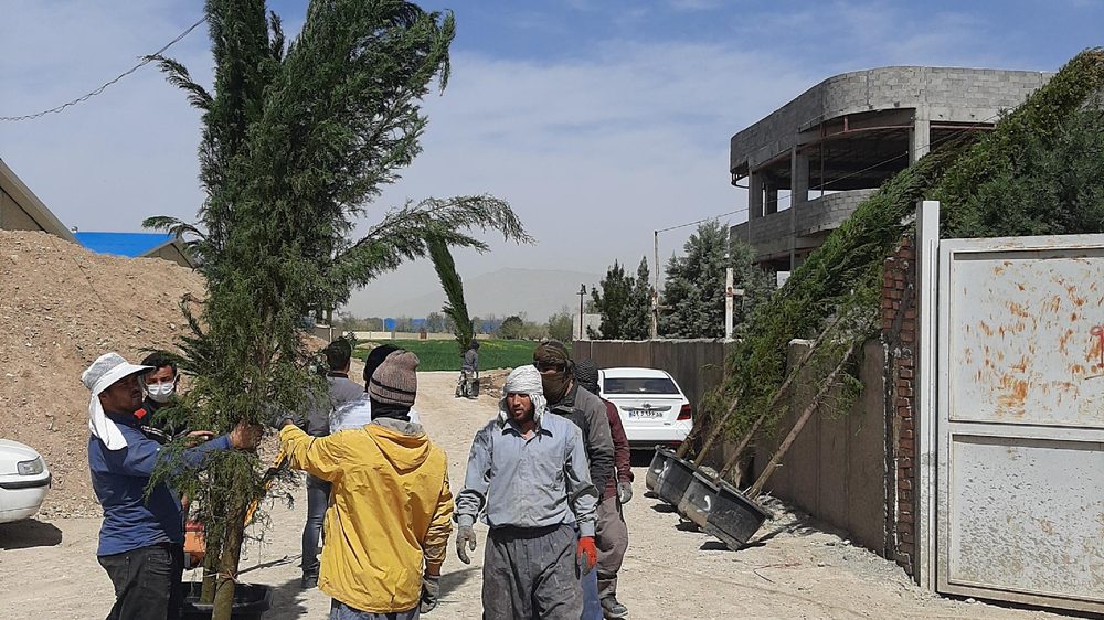شرکت اسماری