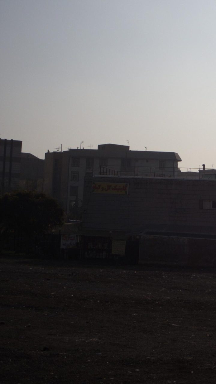 کلینیک گل وگیاه