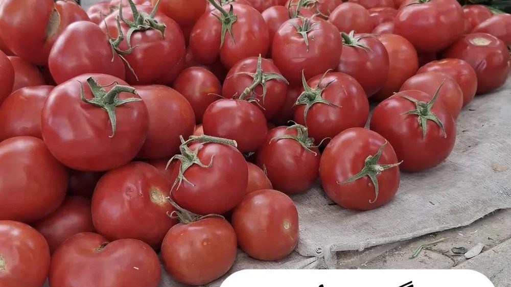 میوه فروشی بزرگ امیر مهدی