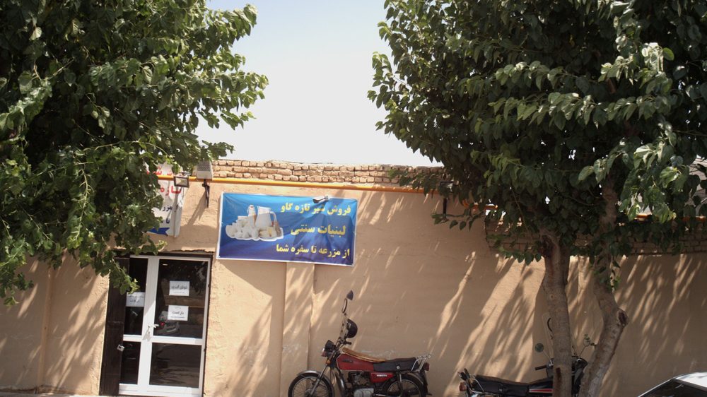 لبنیات سنتی