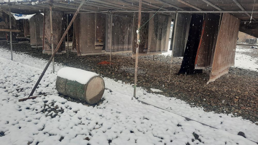 قالیشویی گلستان اصل