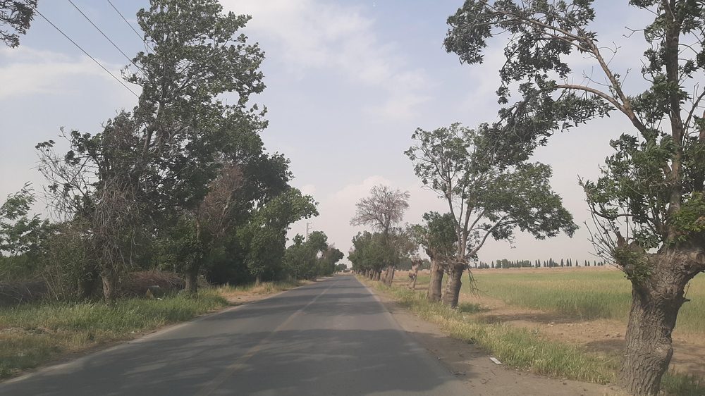 شرکت بیمه فشافویه