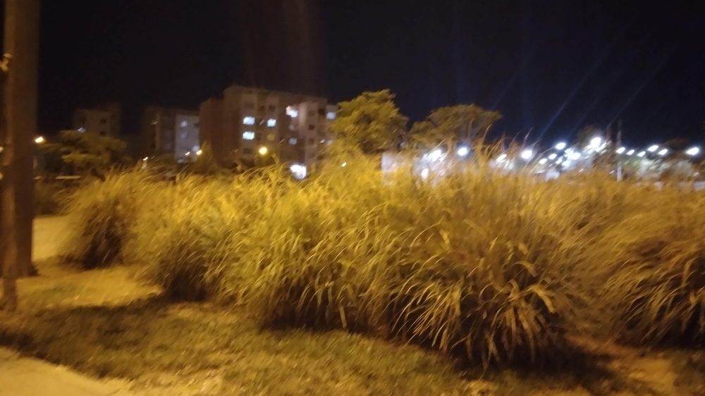 پارکینگ شبانه روزی مهدیه(امین)