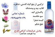 پخش عرقیجات گیاهی قدح