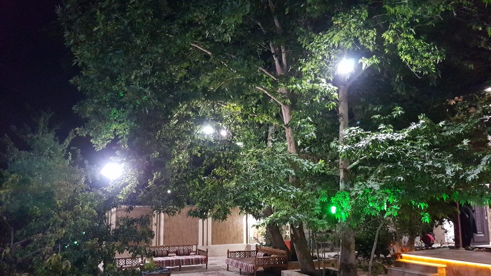 باغچه سرو نقره ای (سعید بهبودی)