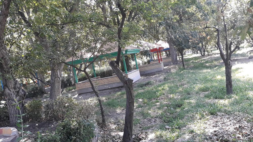 مجتمع فرهنگی یاس
