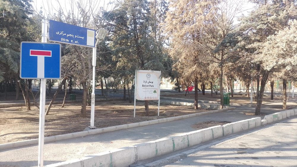 بوستان بلوط
