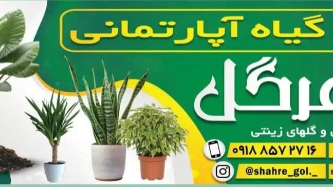 گل فروشی شهر گل