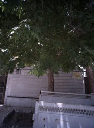 زیبا دوخت بانوی ایرانی
