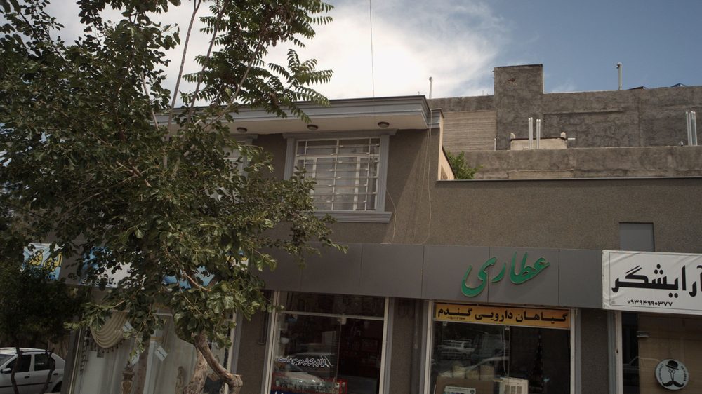 دارو گیاهی