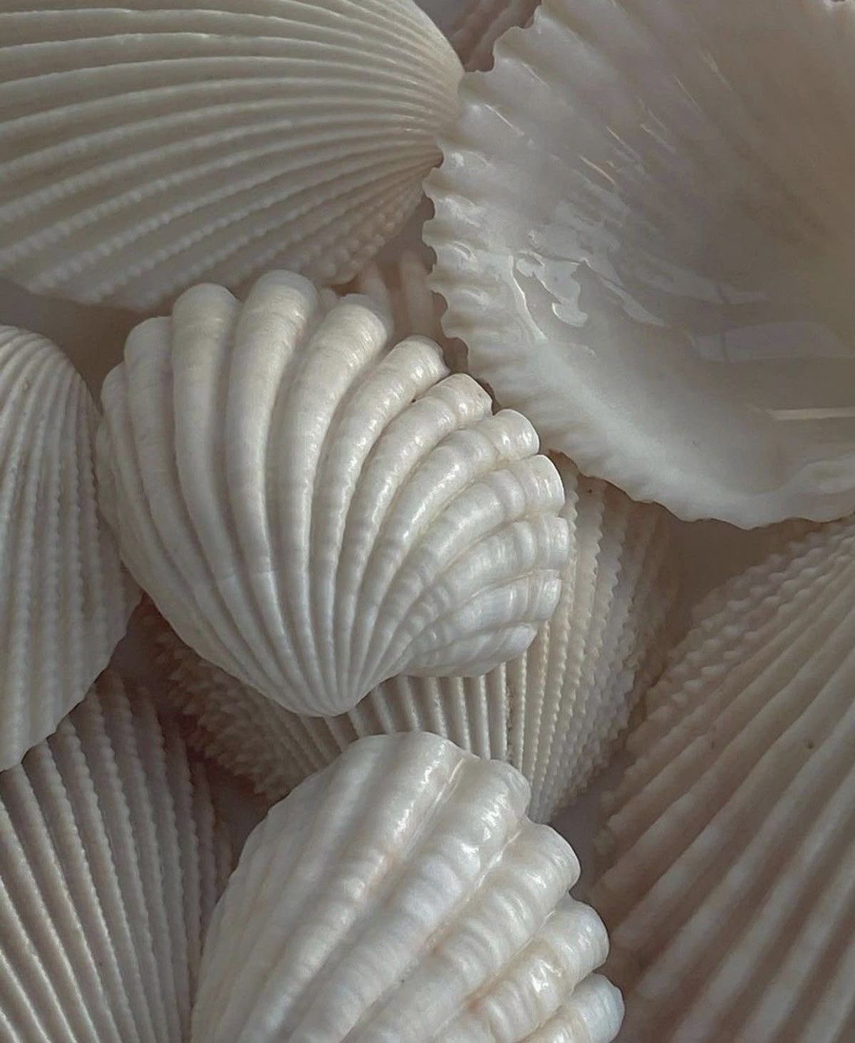 آموزش شنا با حانیه