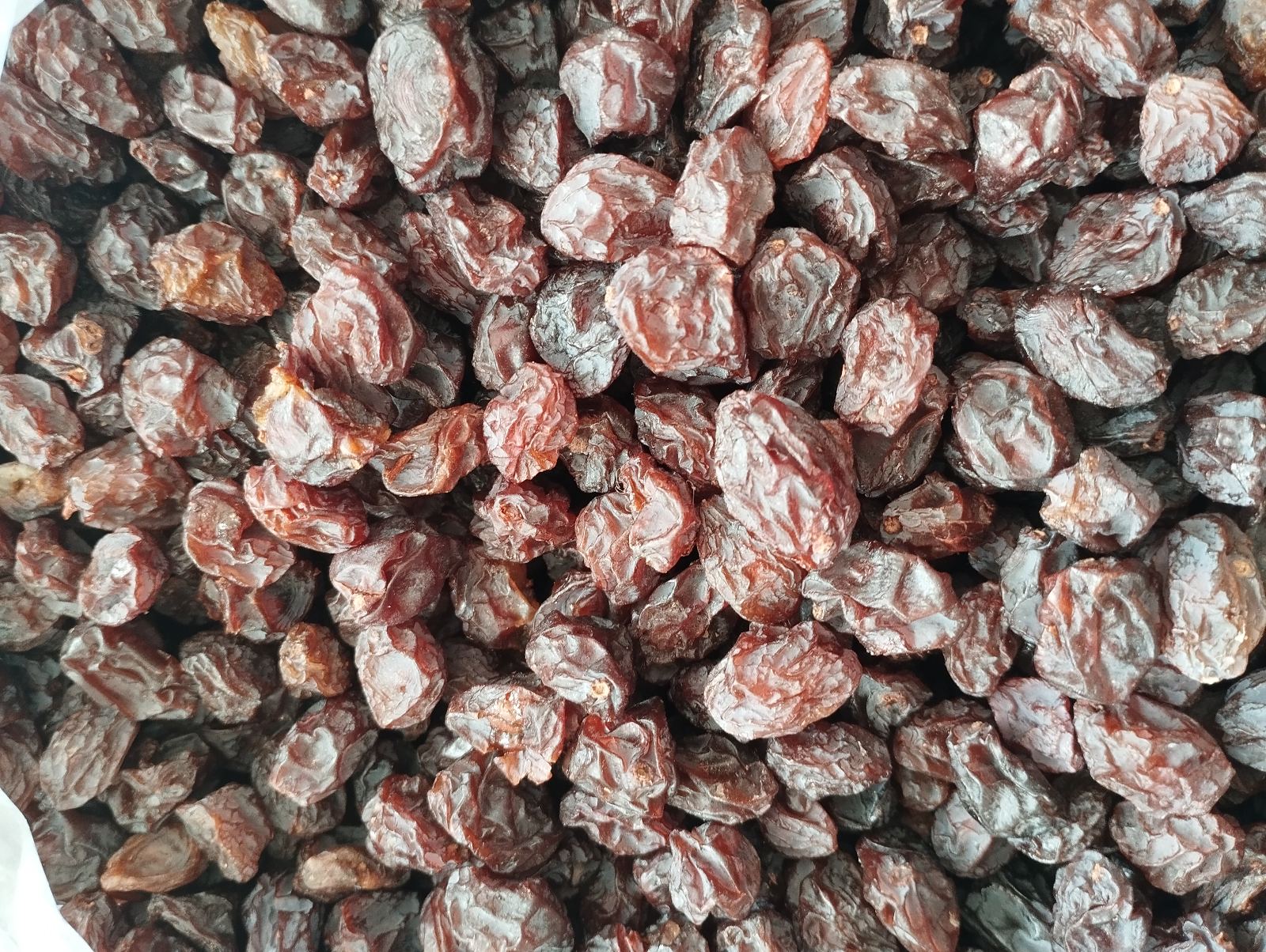 مویز و کشمش اصل دشمن زیاری
