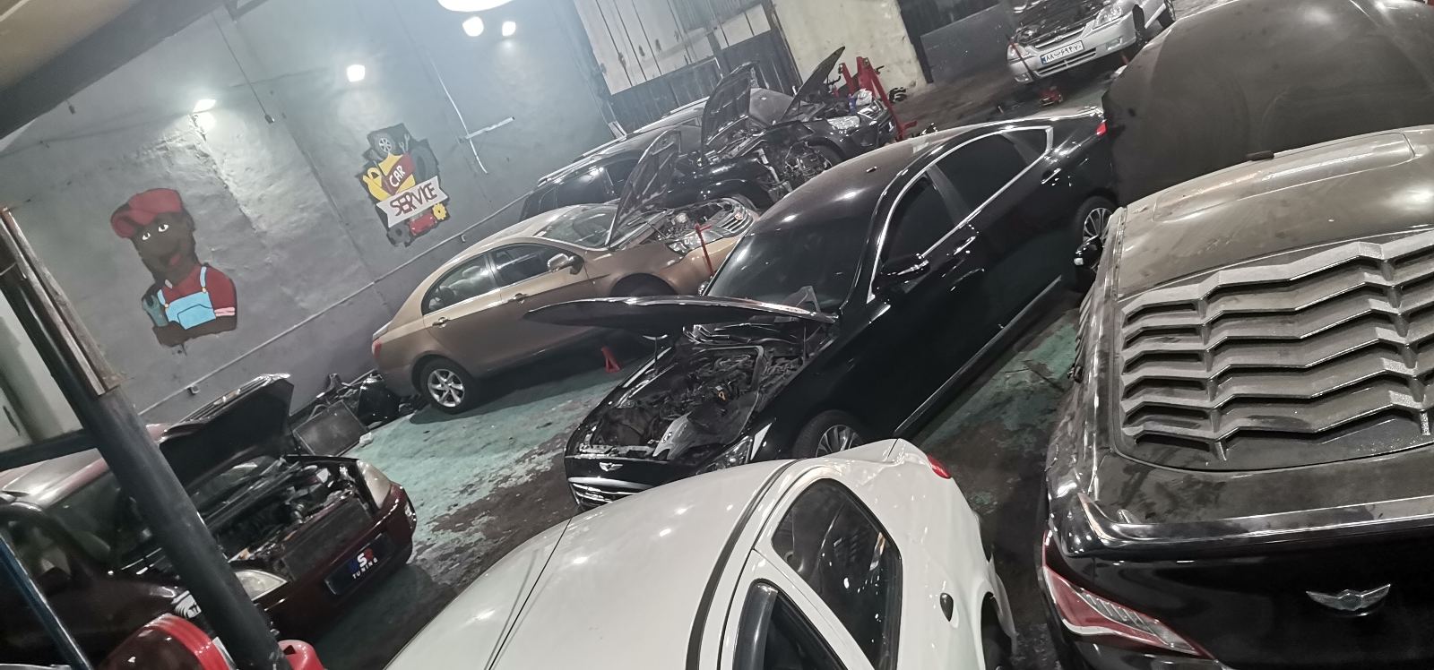 اتو کلینیک MSR ژاپنی،کره ای،چینی، آلمانی