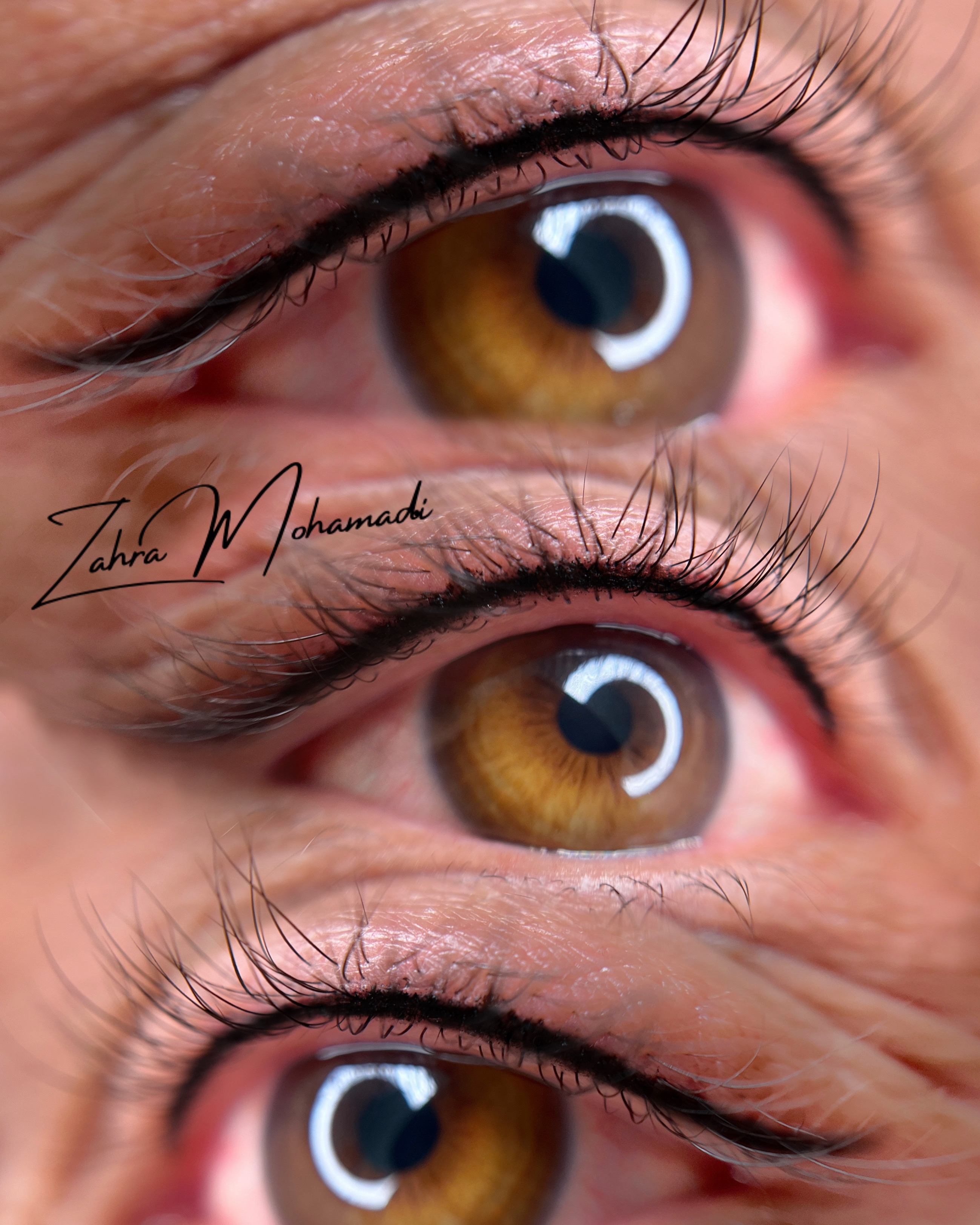 فیبروز زهرا محمدی