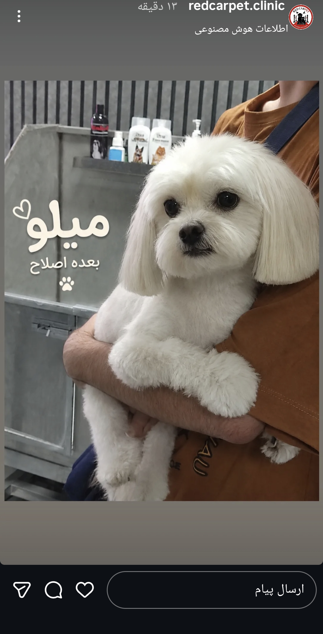 آرایشگر حیوانات