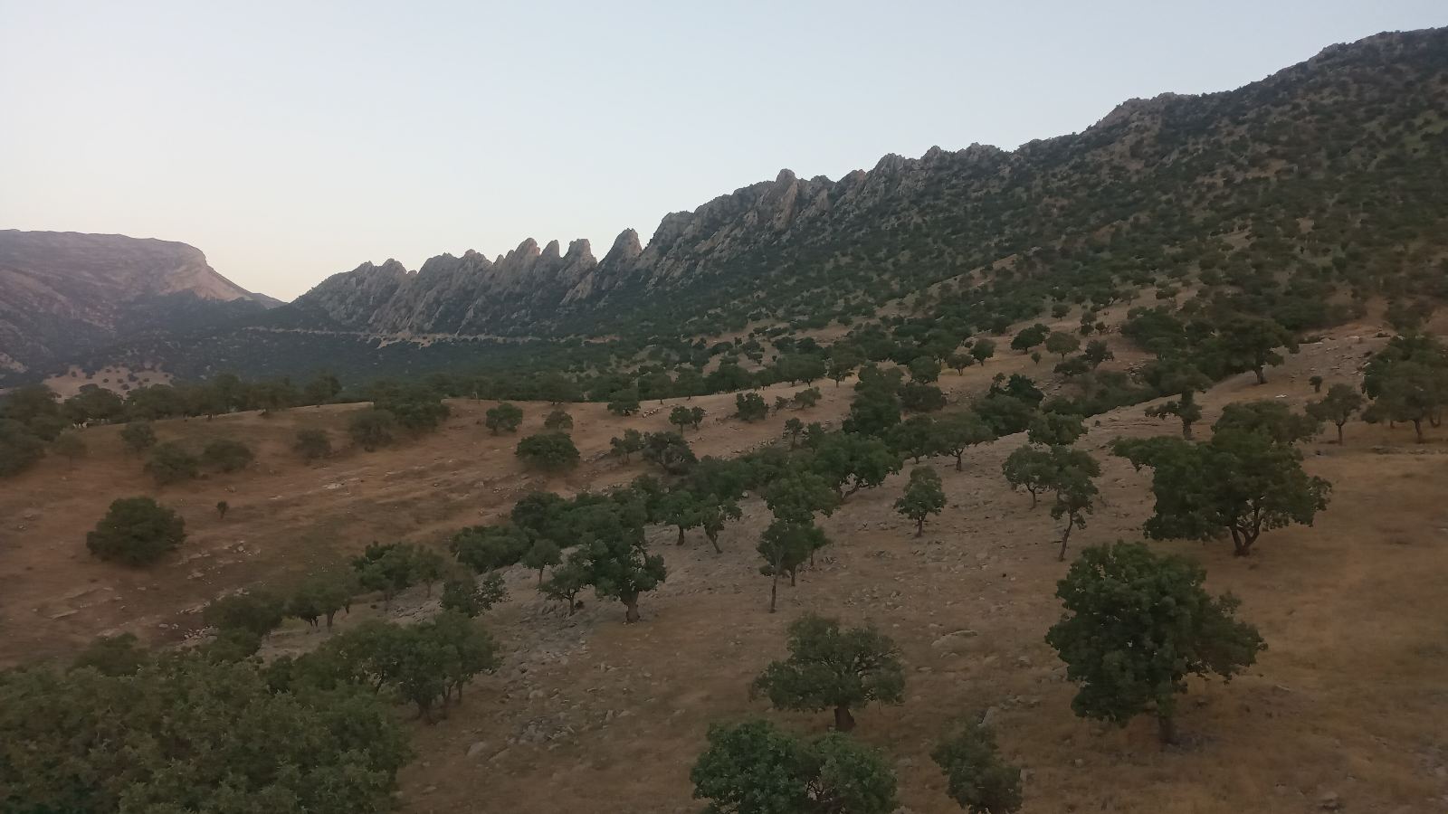 شرکت حمل و نقل تهران عادل غرفه 75