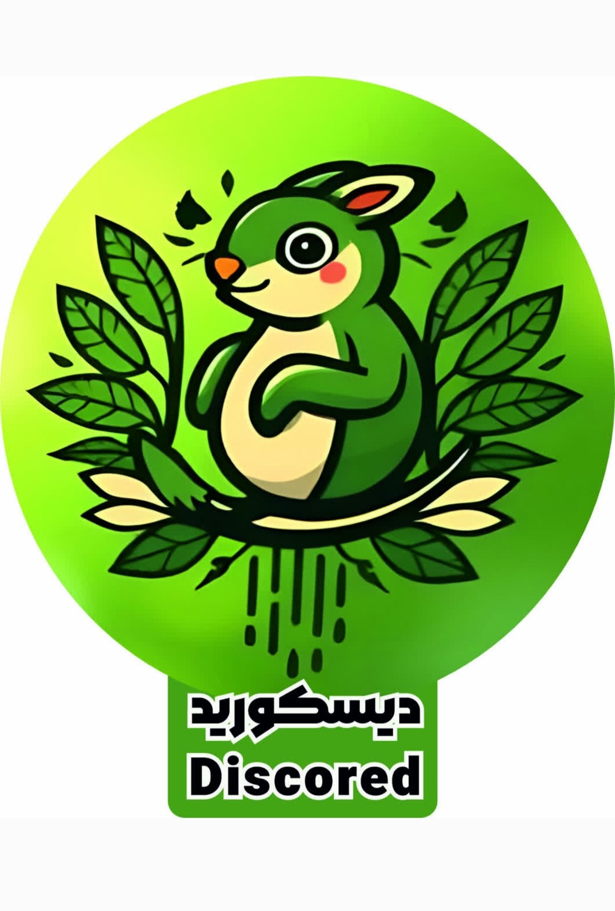 عطاری دیسکورید‌ (ادویه جات علی کویتی)