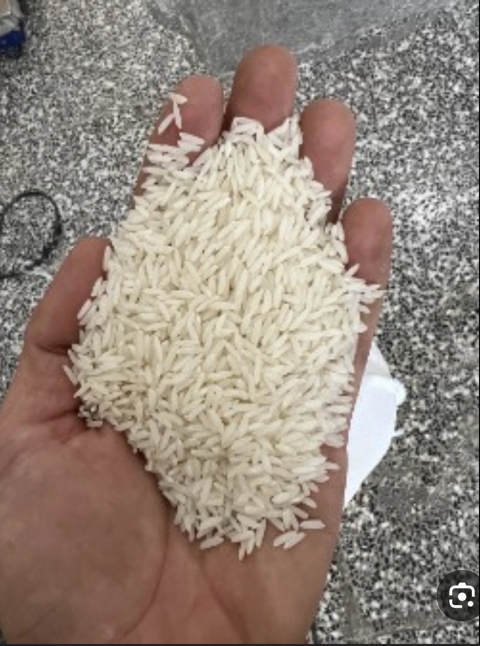 برنج مازنی،طارم درجه 1