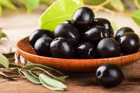 شرکت تولیدی صنایع غذایی