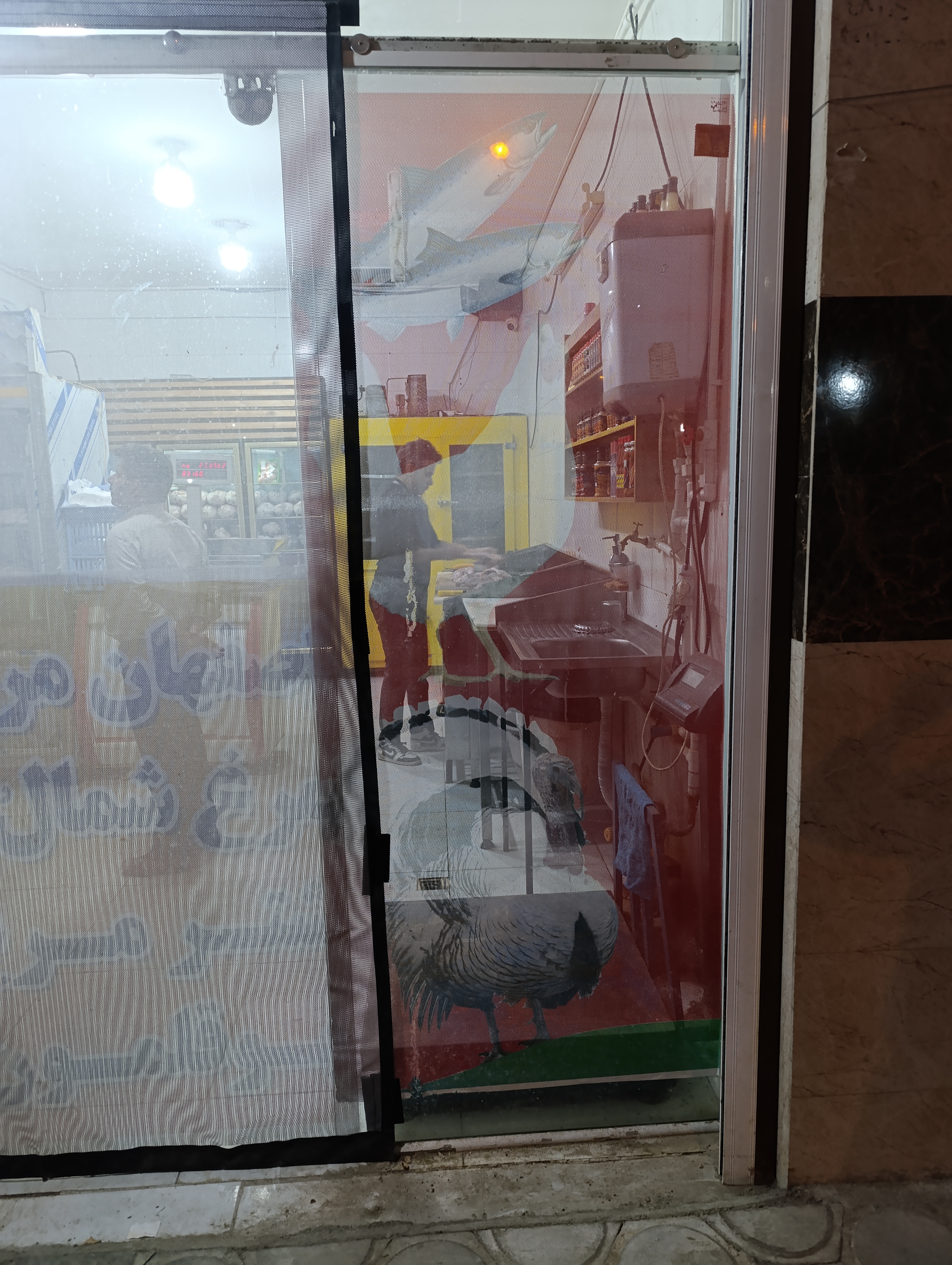 مرغ و بوقلمون صالح