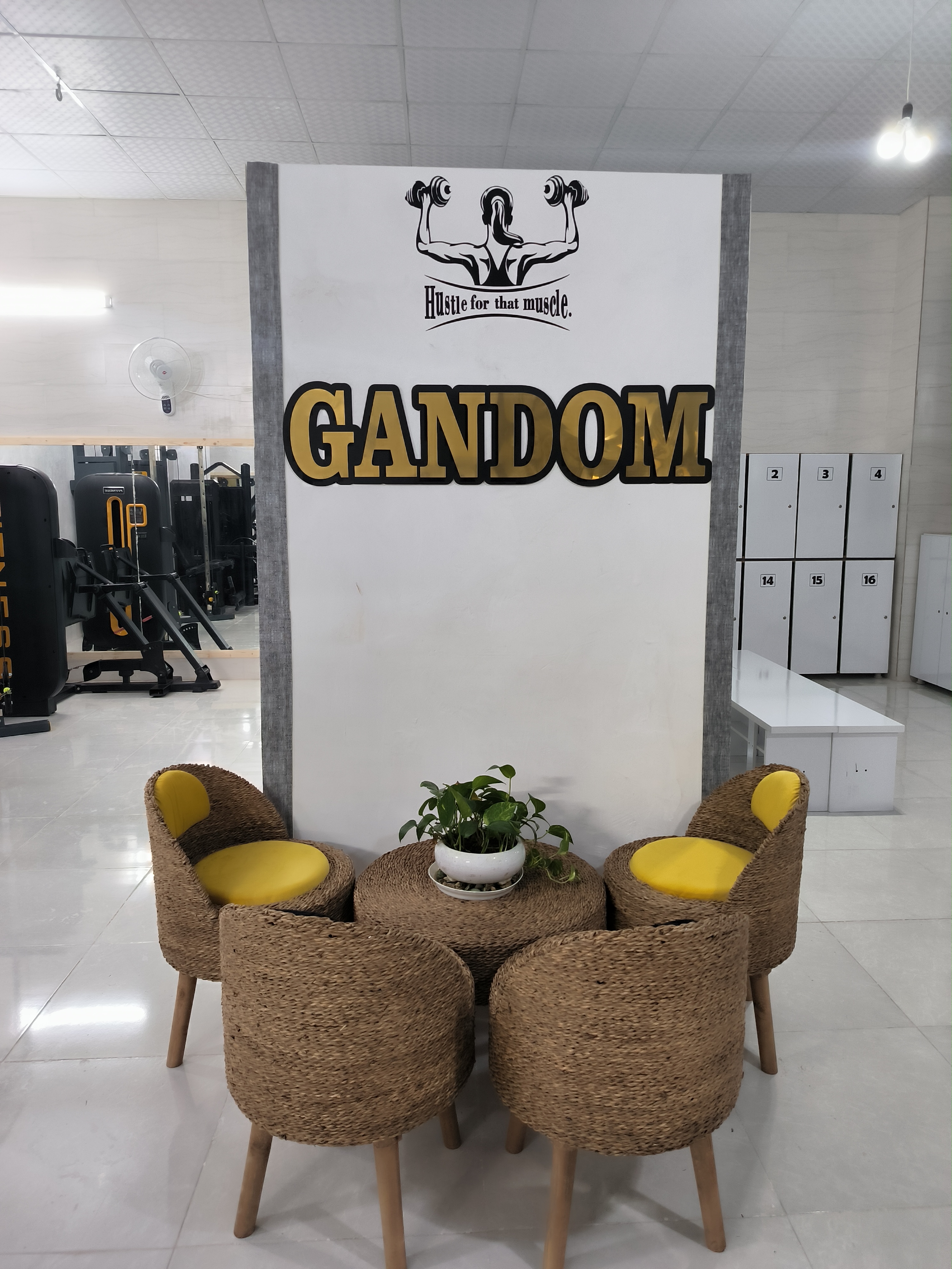 باشگاه ورزشی بانوان گندم