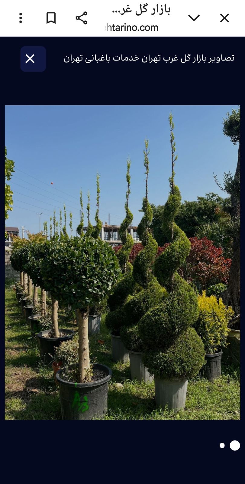 خدمات باغبانی