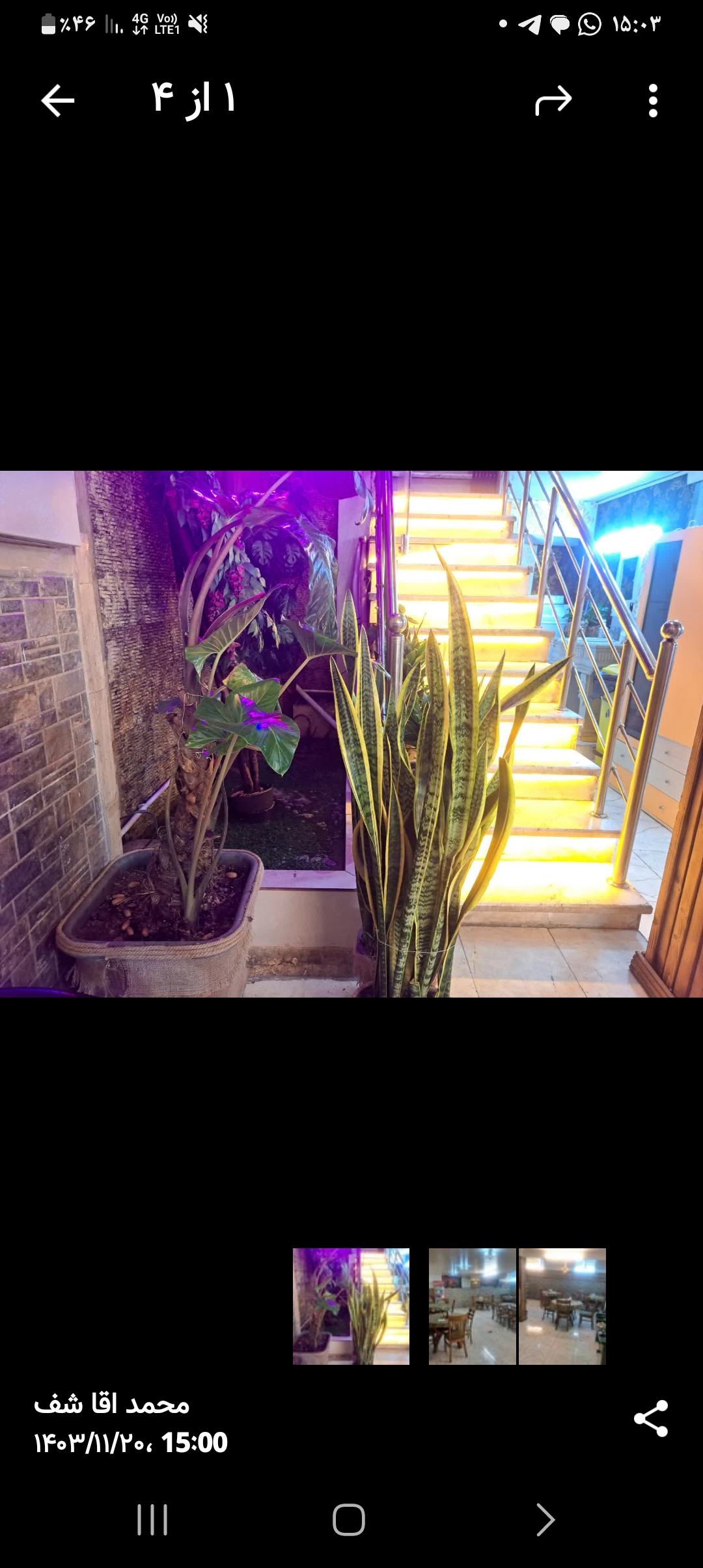 رستوران ملک سبا