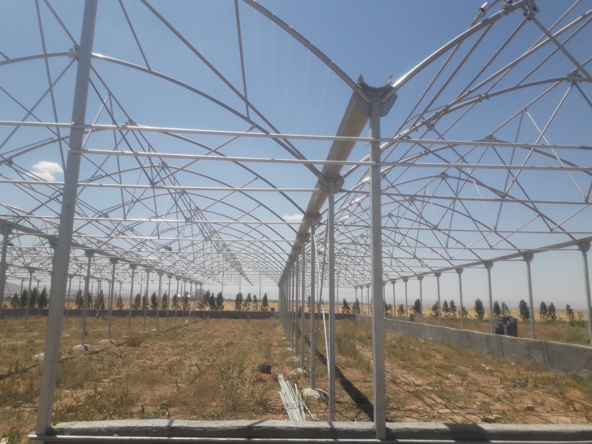 اجرای گلخانه های صنعتی و نیمه صنعتی