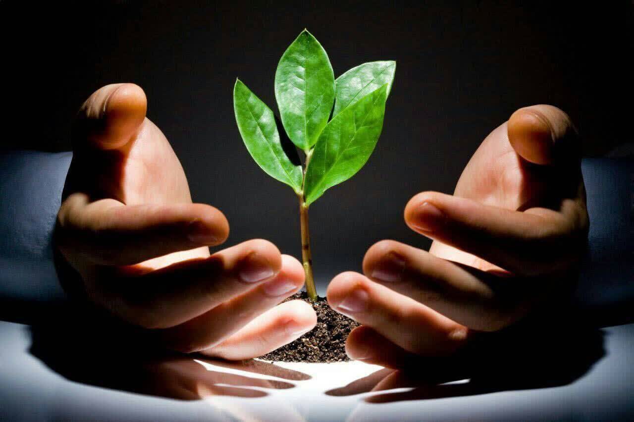 🌱سلامتکد شاهد🌱
