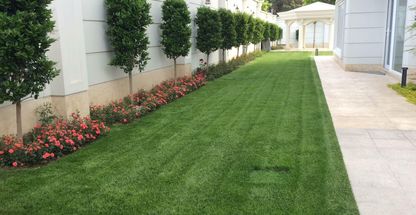 گلخانه و گالری گل و گیاه چرو ( حضوری و آنلاین)