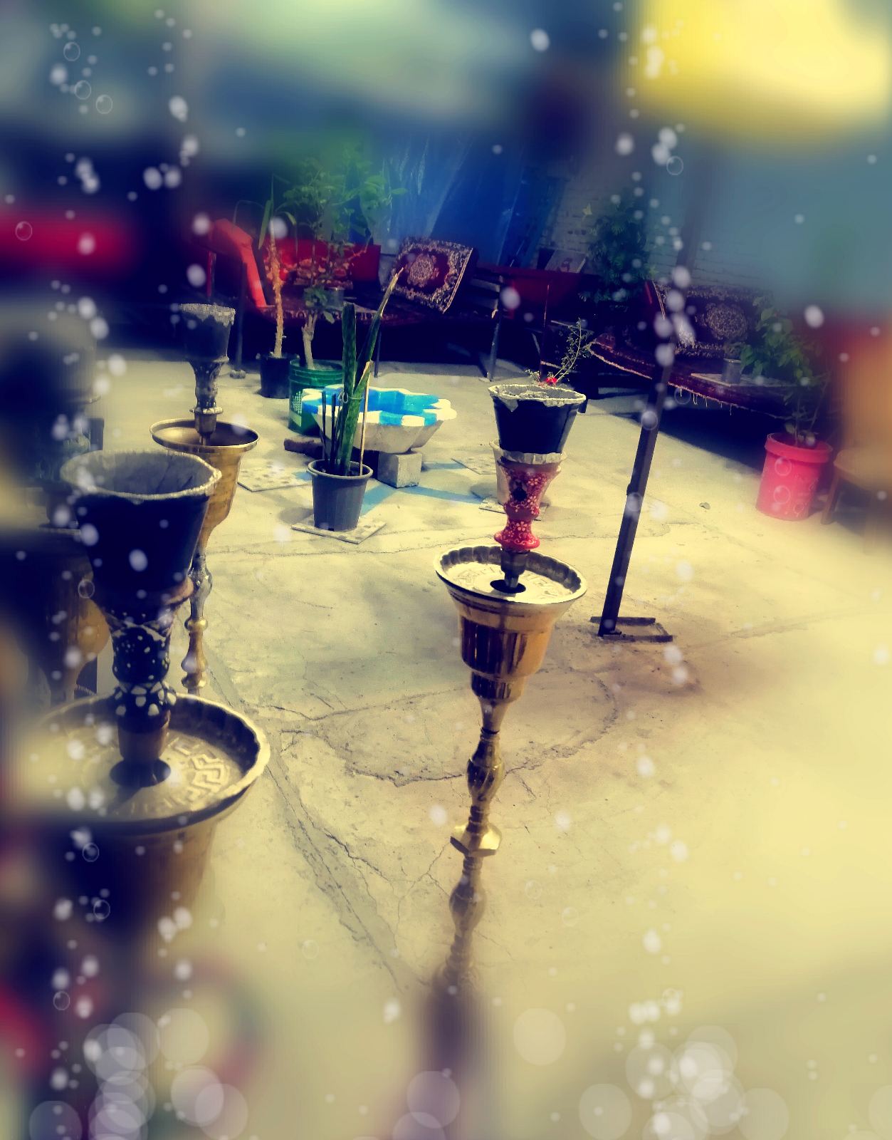 کافه آرکا ;کافه چی