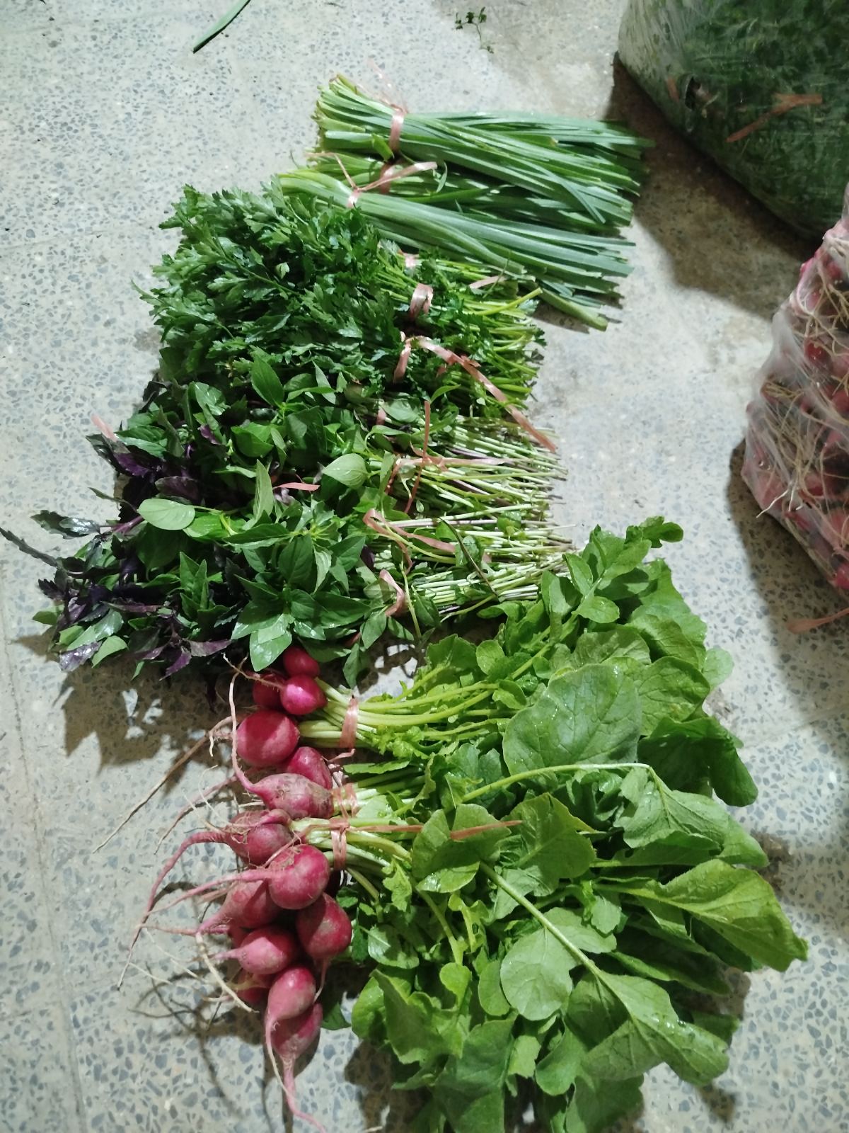 سبزی خوردن دسته 100گرمی