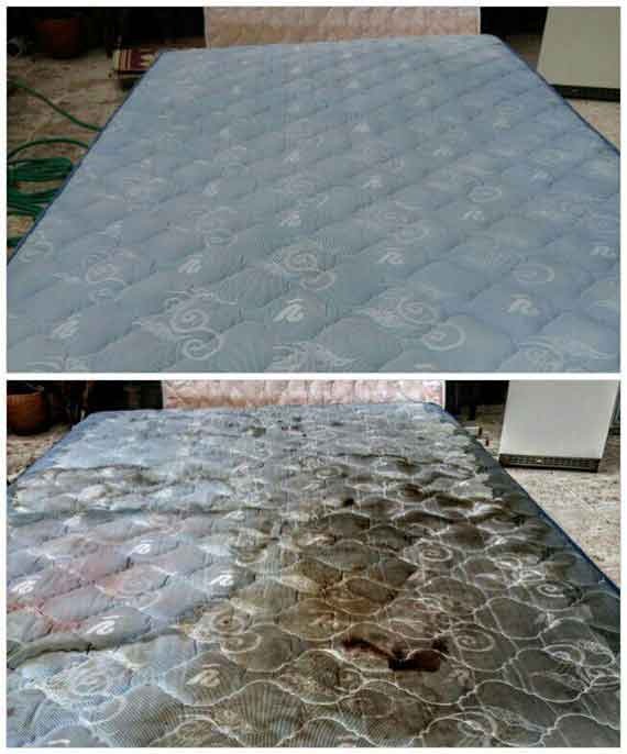 قالیشویی و مبل شویی آذر مهر