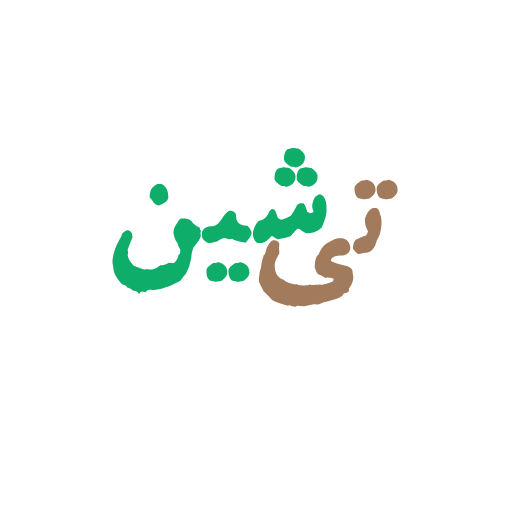 فروشگاه آجیل و خشکبار تی شین