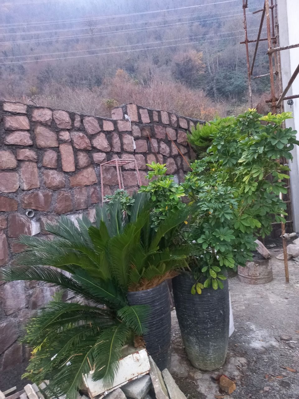 پیمانکاری  محوطہ سازی