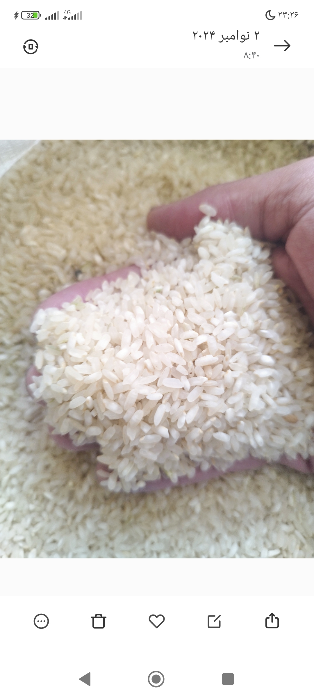 برنج کامفیروزی