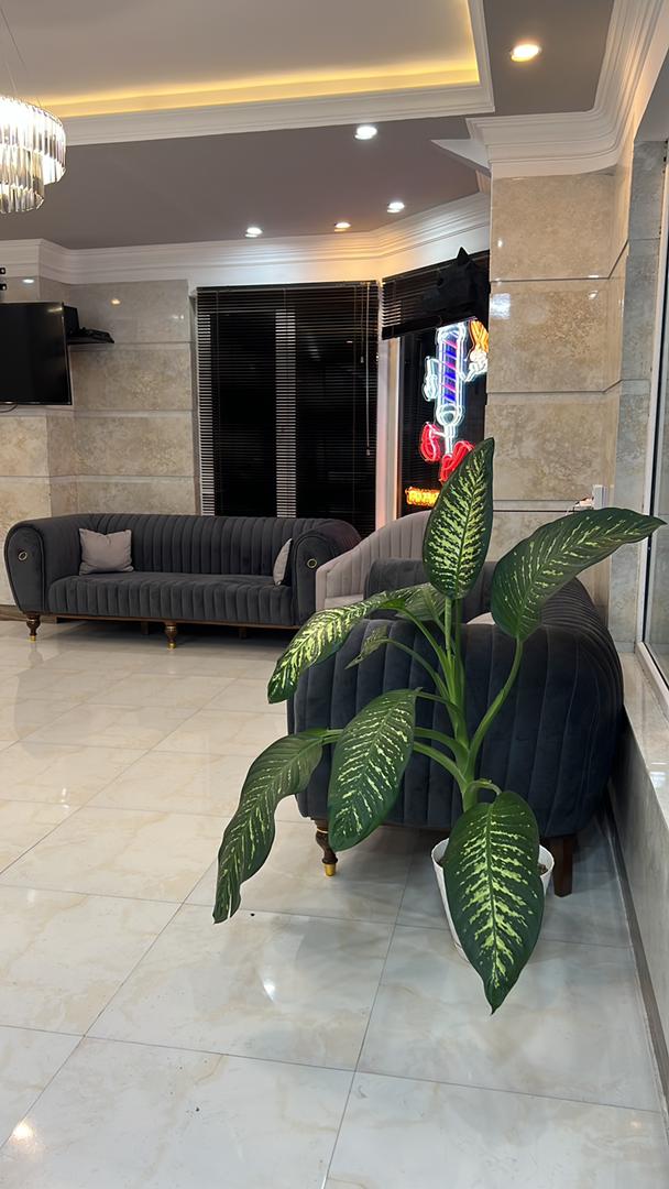 سالن پیرایش دامات vip