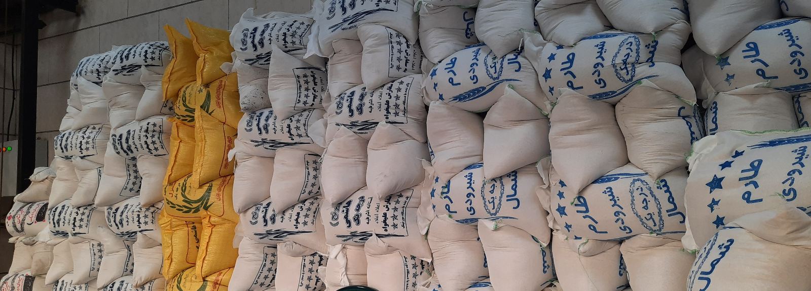 برنج میزبان