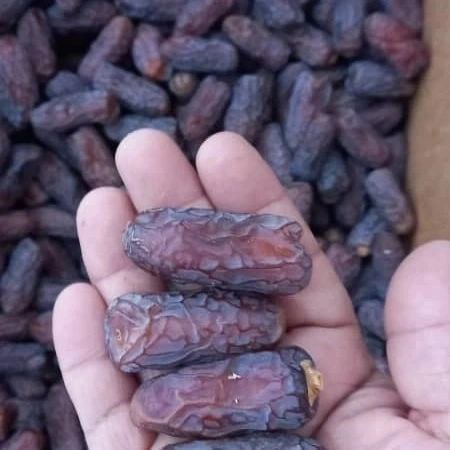 تامین کننده انواع خرما