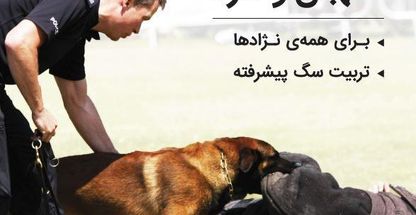 مربی سگ آقای قوام