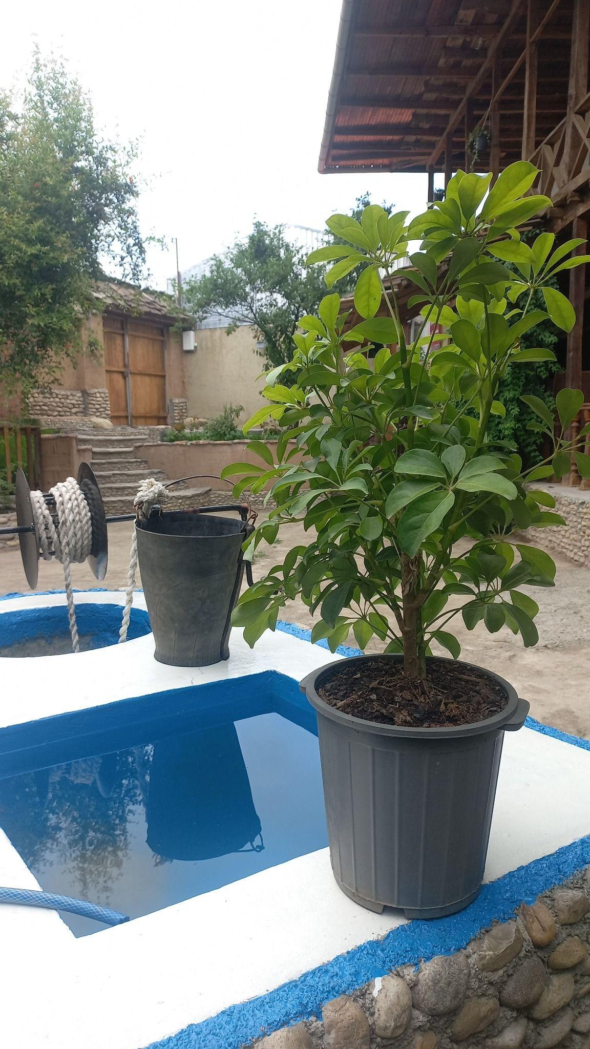 اجاره کوتاه مدت ویلا
