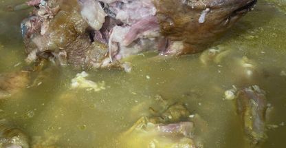 طباخی شاندیز