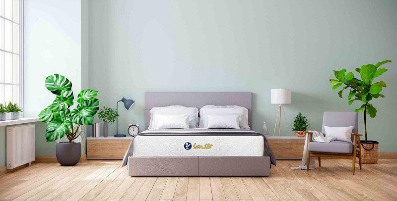 تشک رویا لاهیجان