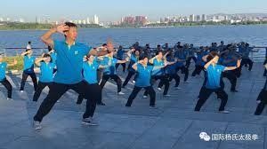 آموزش تخصصی ووشو ( تای چی و چانگ چوان )