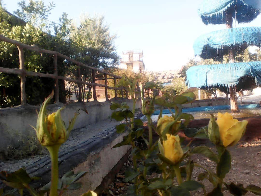 اقامتگاه و باغ تالار کلبه احساس