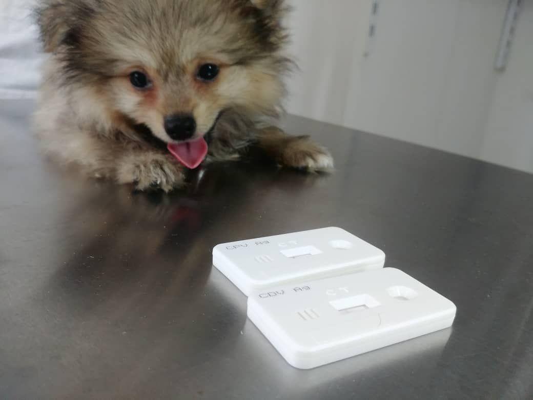 کلینیک دامپزشکی و پت شاپ لاوین