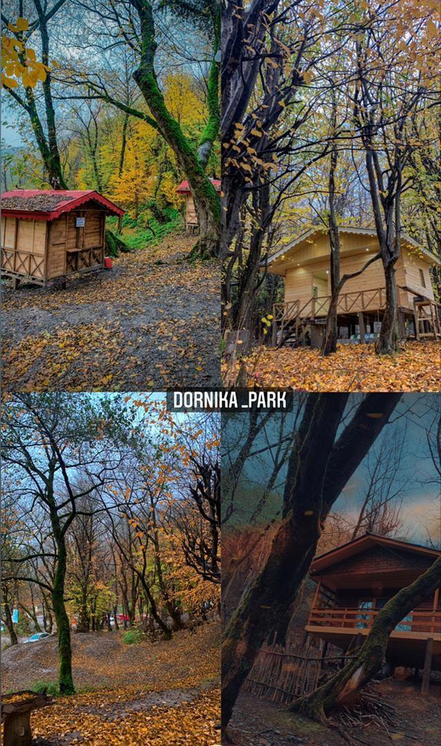 پارک جنگلی ساحلی درنیکا