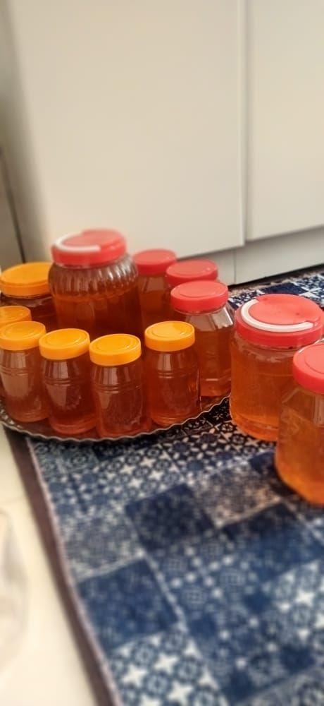 کندوسازی و نجاری شیخی