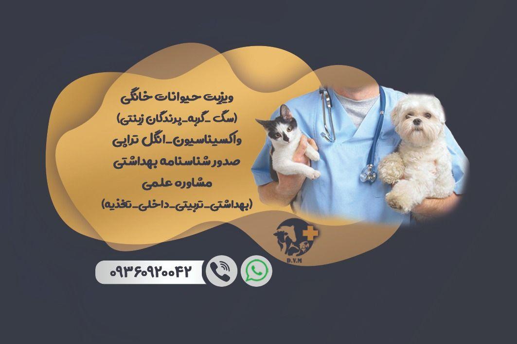 ویزیت و مشاوره حیوانات خانگی