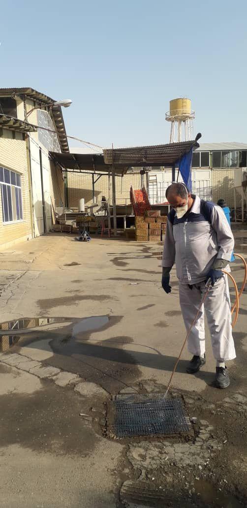 سمپاشی پاک مهر نصف جهان فولاد شهر با مجوز وزارت بهداشت